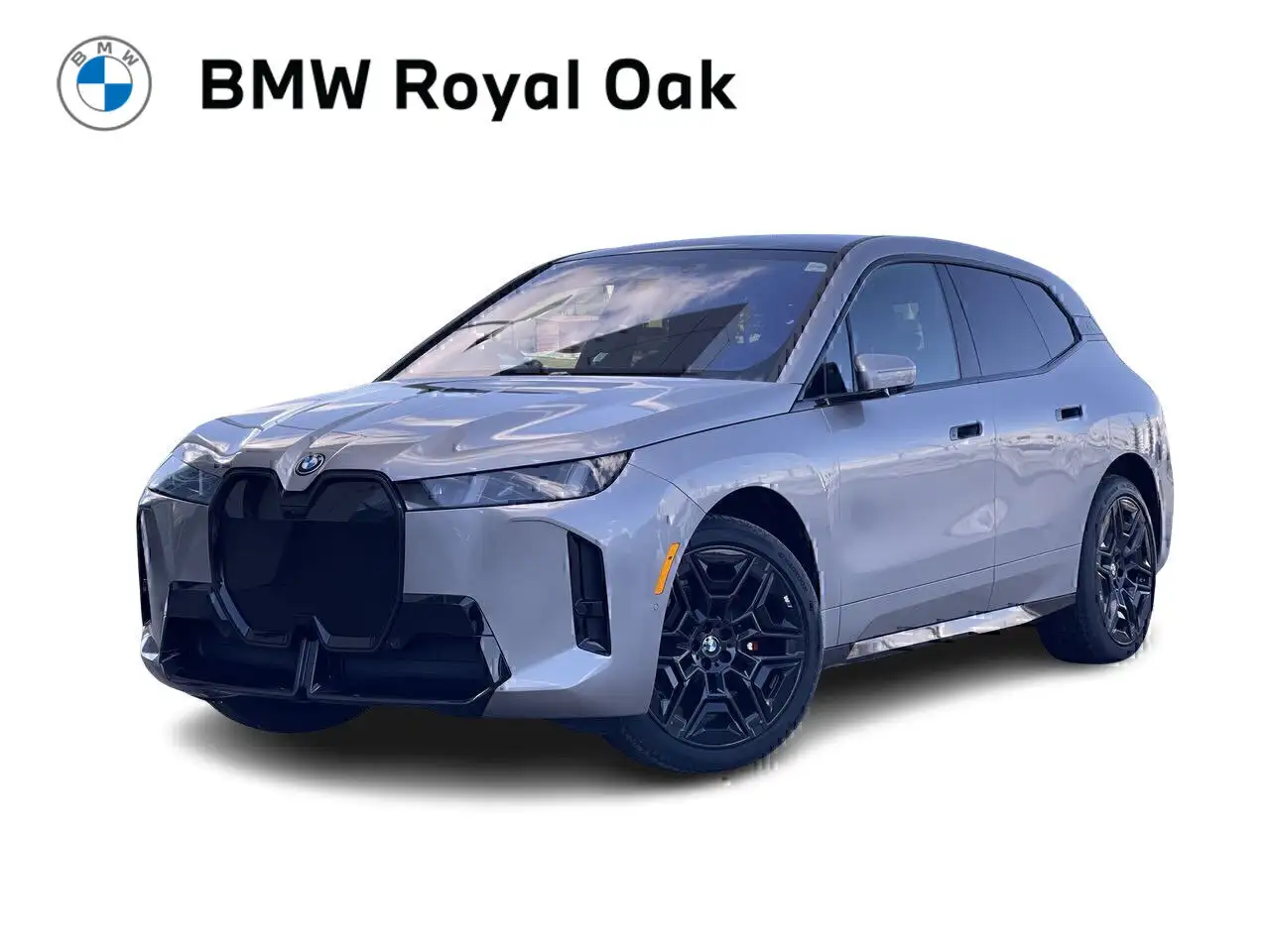 BMW iX photo BMW iX