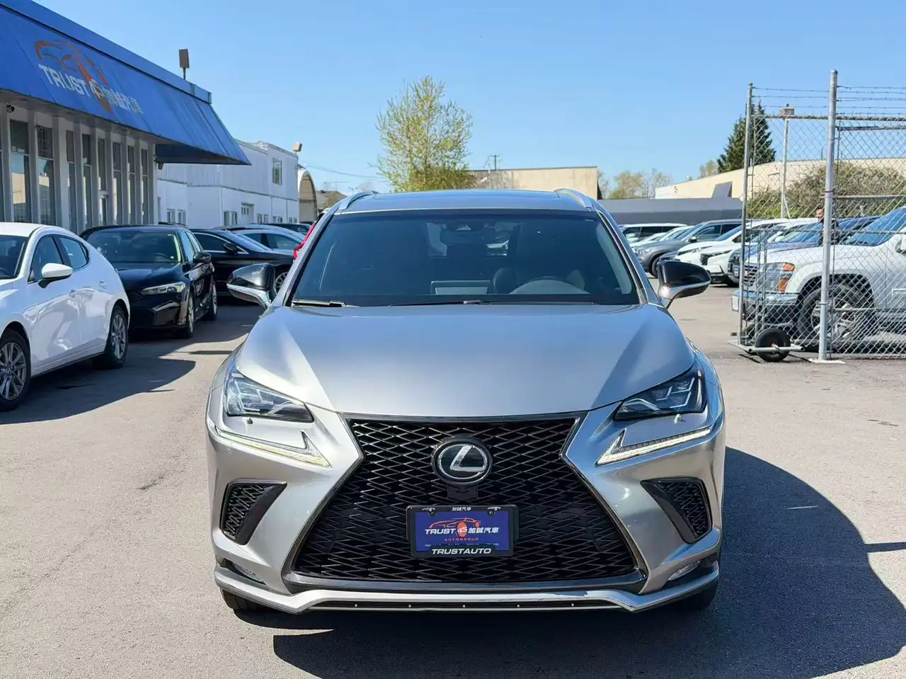 Lexus NX 300 fotografie Lexus NX 300