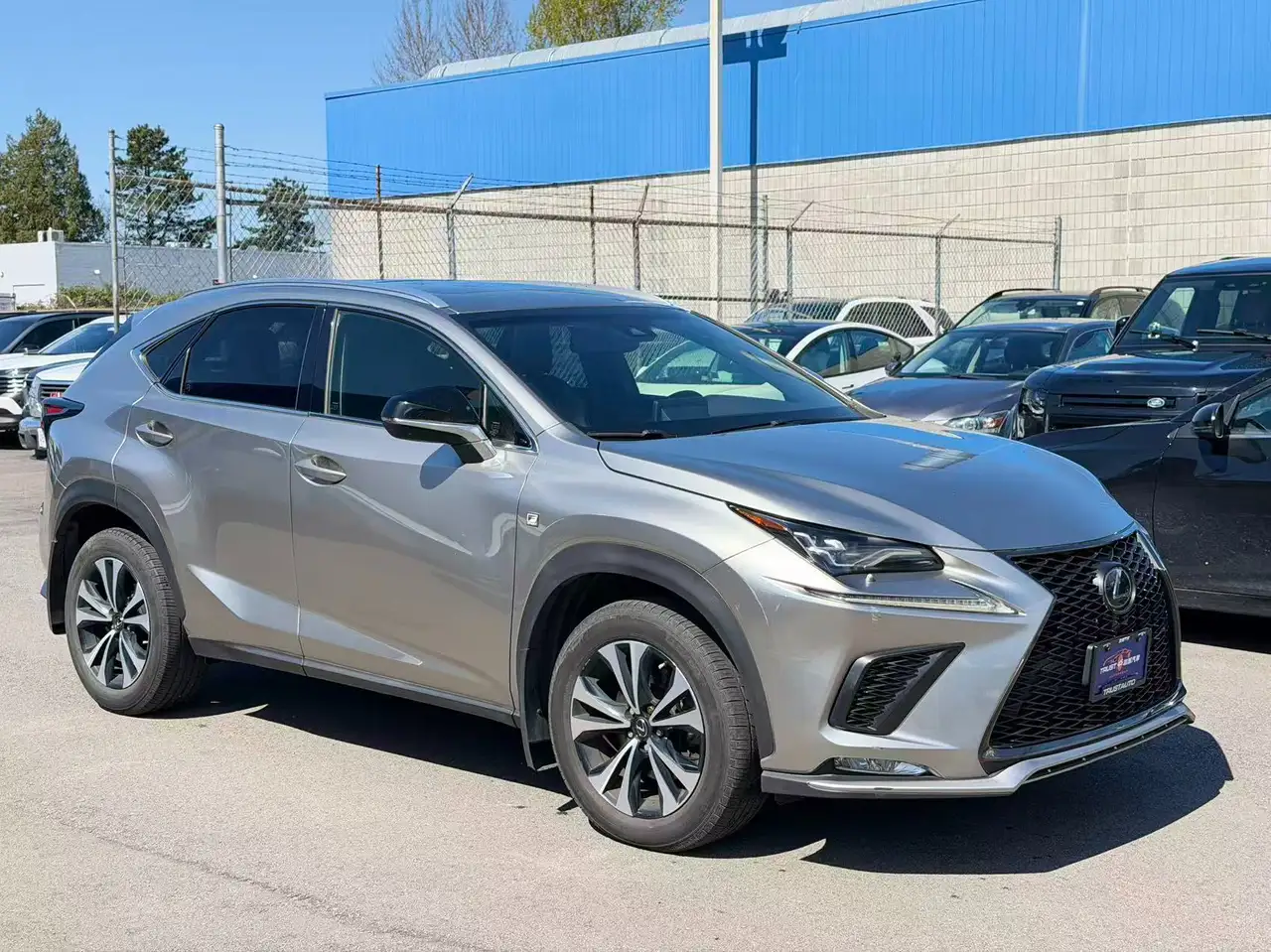 Lexus NX 300 fotografie Lexus NX 300