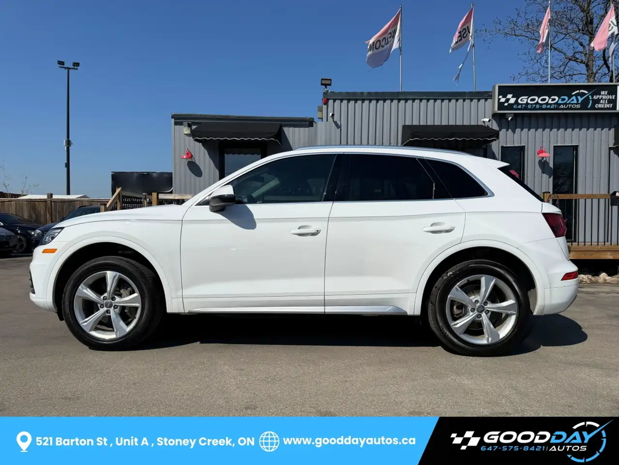 Audi Q5 fotografie Audi Q5