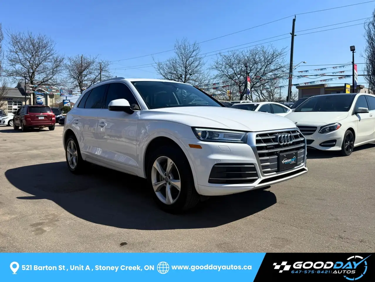 Audi Q5 fotografie Audi Q5