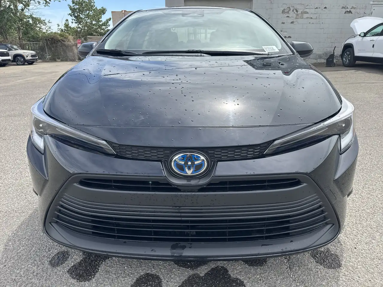 Toyota Corolla снимка Toyota Corolla