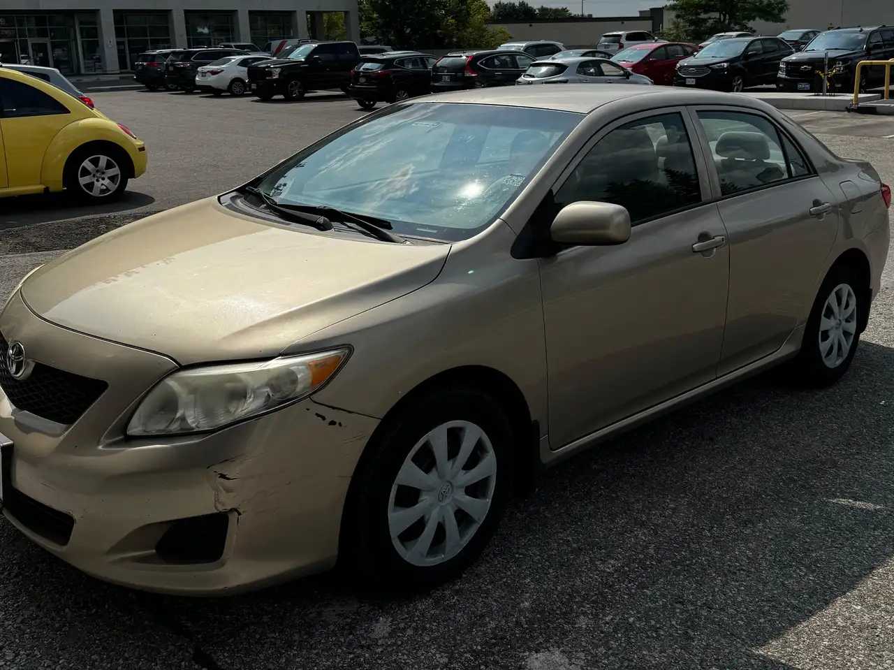 Toyota Corolla photo Toyota Corolla