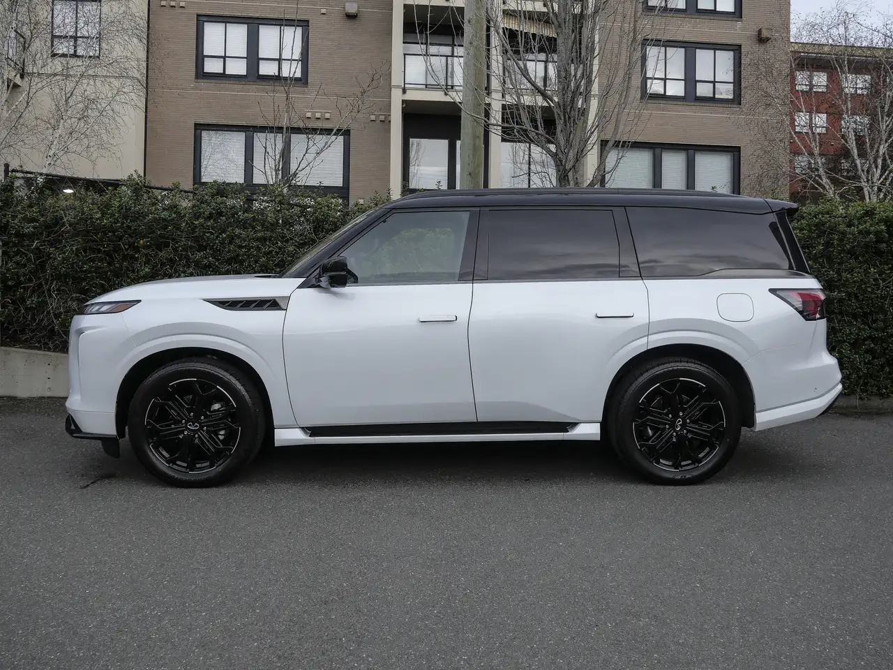 Infiniti QX80 снимка Infiniti QX80