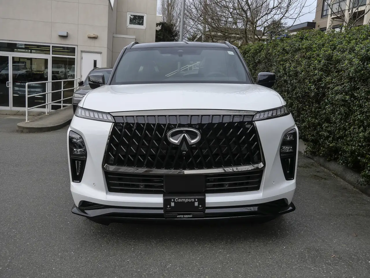 Infiniti QX80 снимка Infiniti QX80
