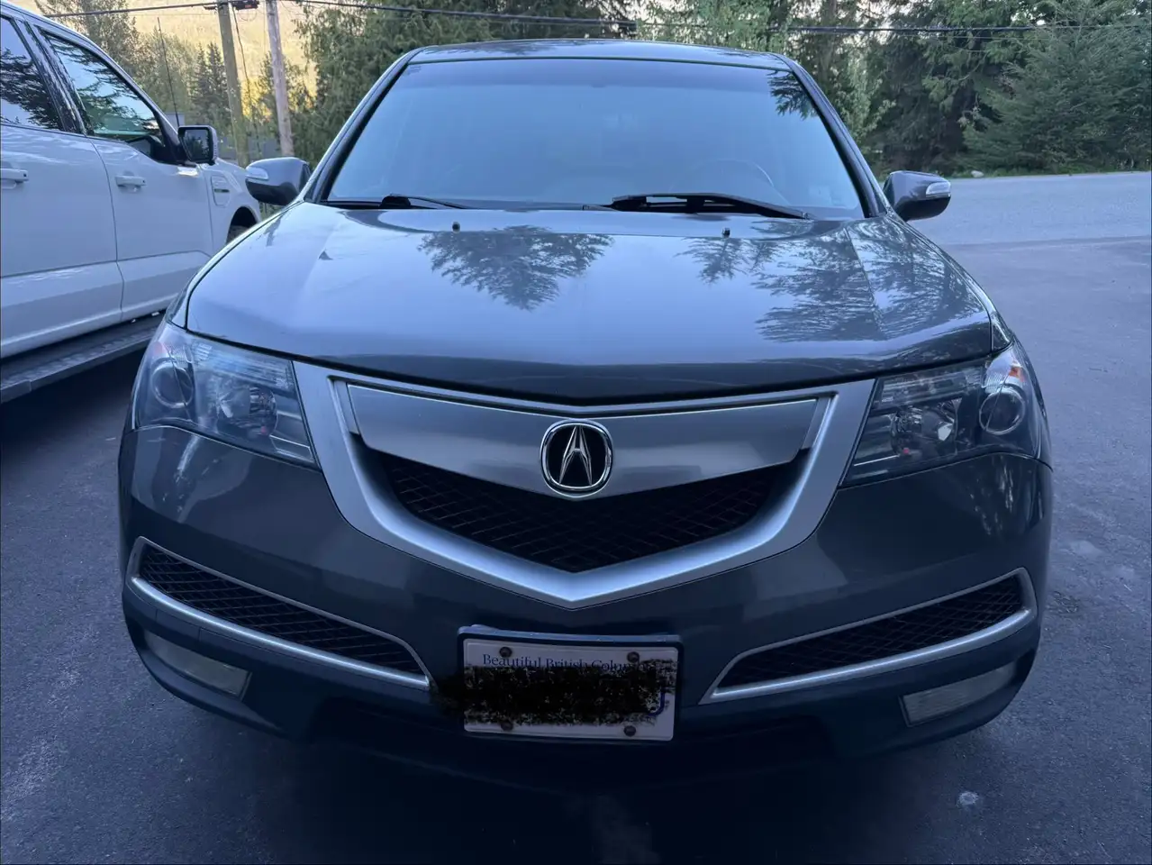 2010 Acura MDX