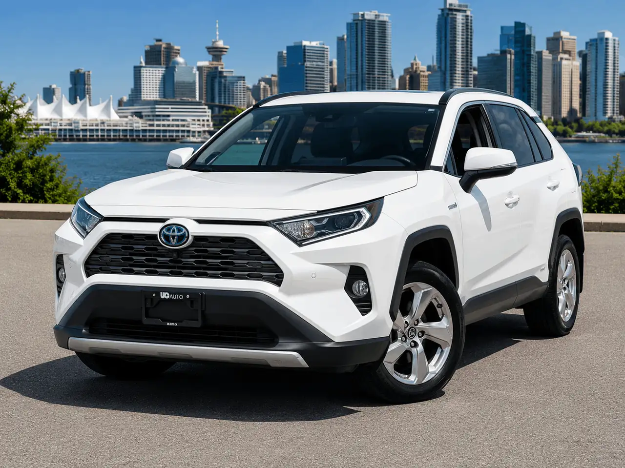 2019 Toyota RAV 4