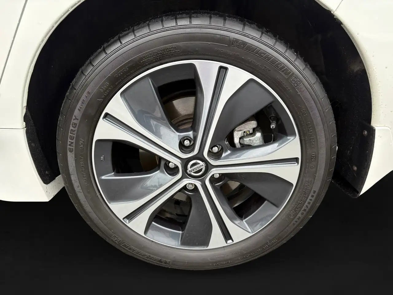 Nissan Leaf снимка Nissan Leaf