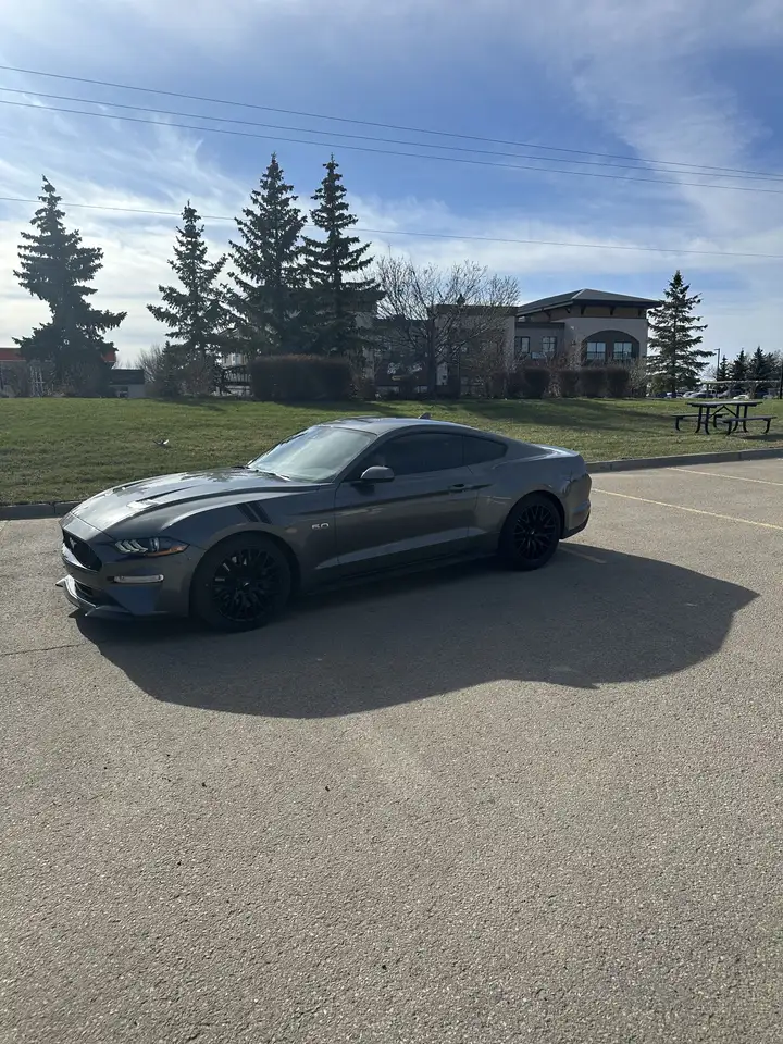 Ford Mustang fotografie Ford Mustang