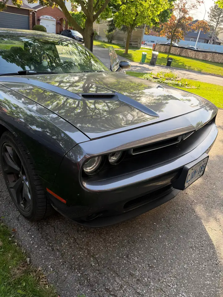 Dodge Challenger photo Dodge Challenger