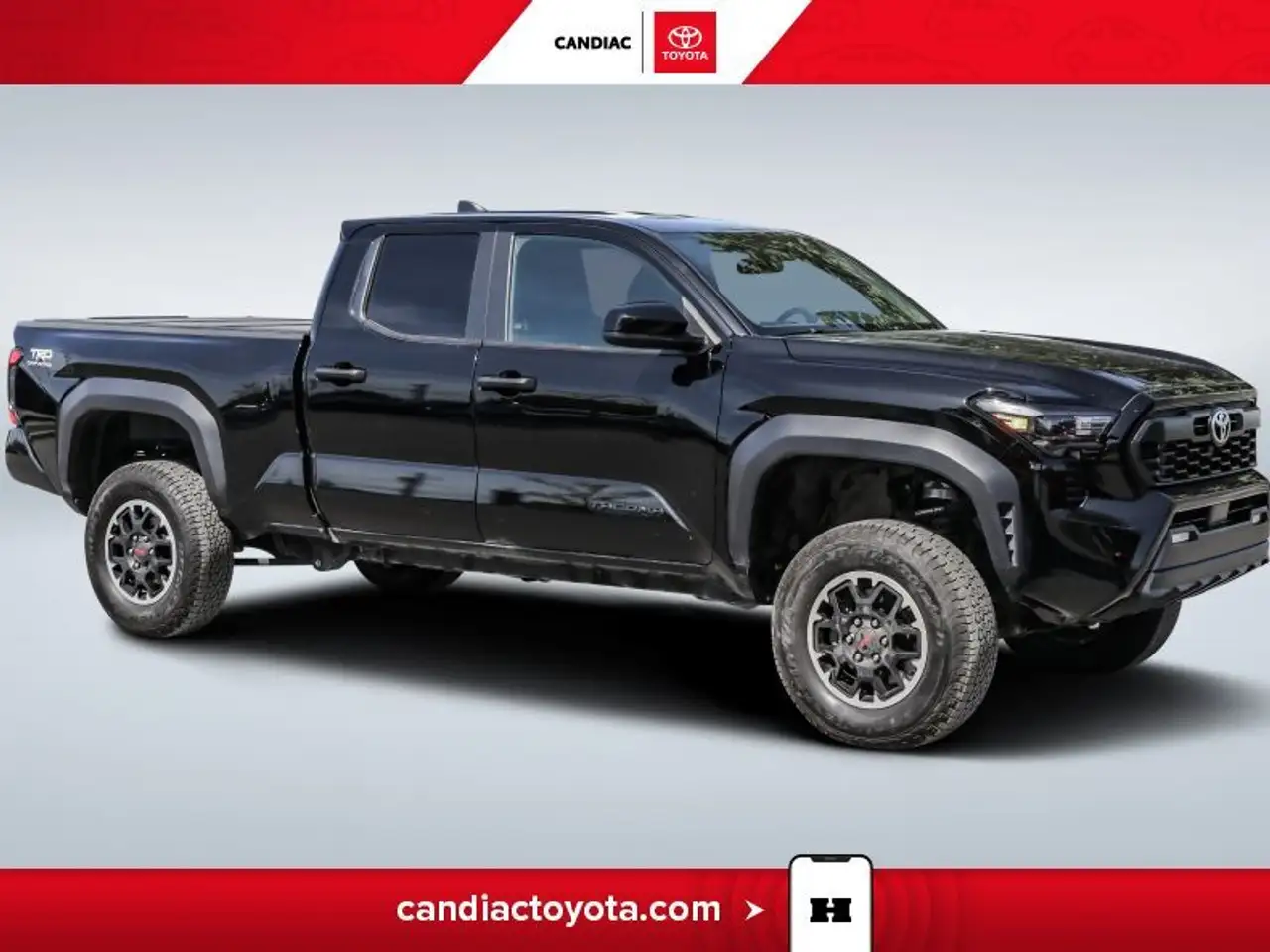 Toyota Tacoma fotografie Toyota Tacoma