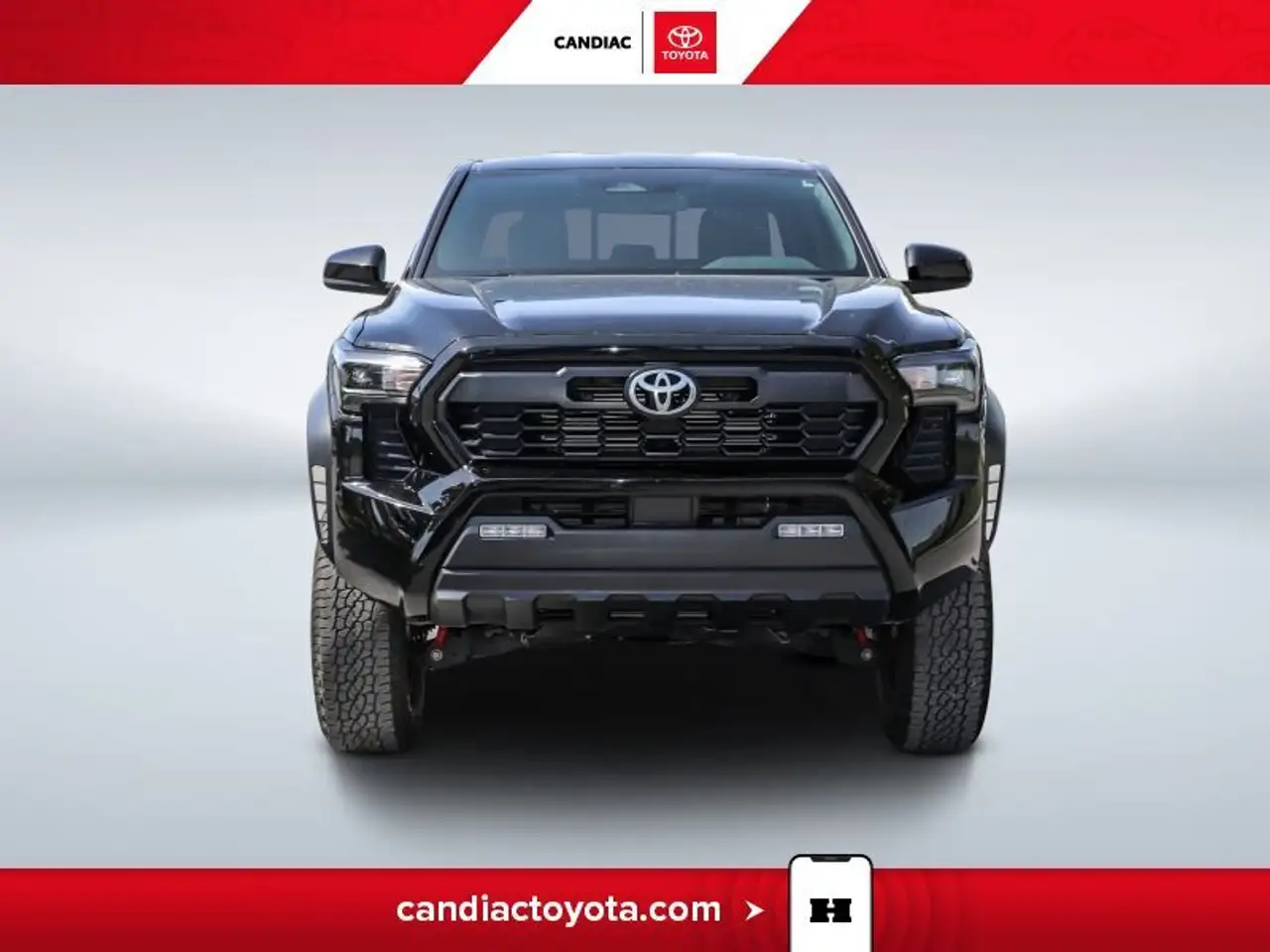 Toyota Tacoma fotografie Toyota Tacoma