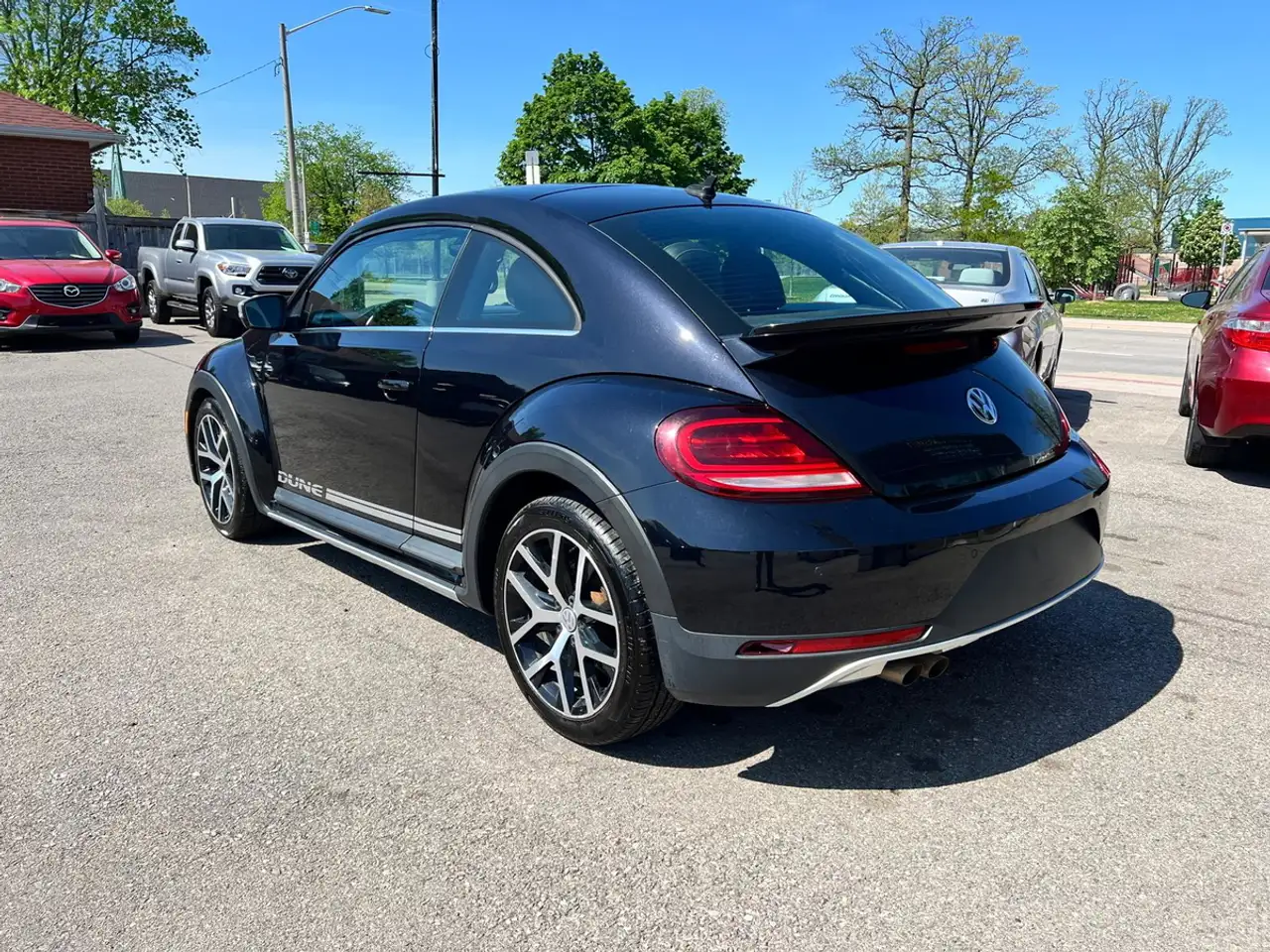 Volkswagen Beetle fotografie Volkswagen Beetle
