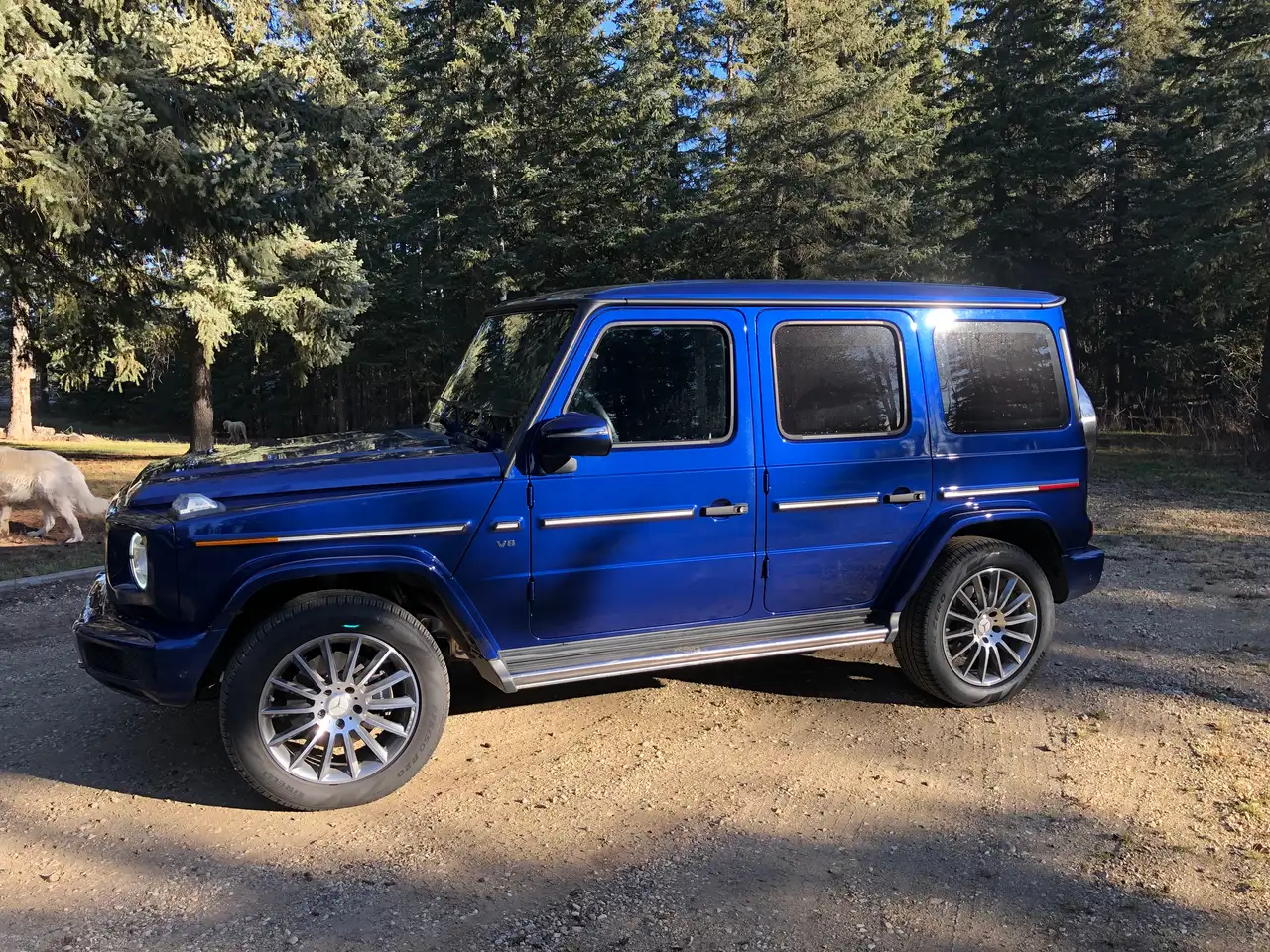 Mercedes-Benz G-Class снимка Mercedes-Benz G-Class