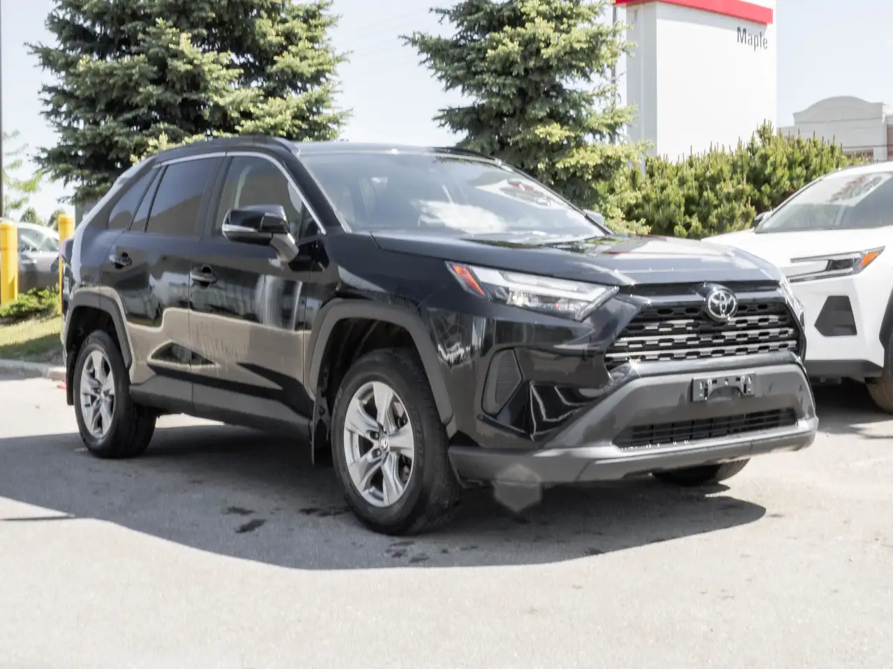Toyota RAV 4 fotografie Toyota RAV 4