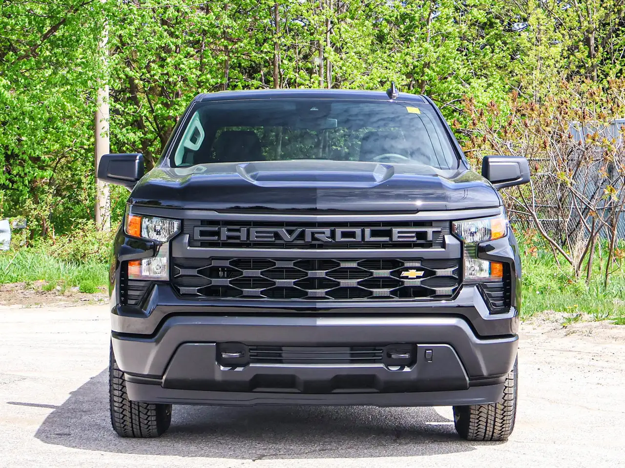 Chevrolet Silverado 1500 снимка Chevrolet Silverado 1500