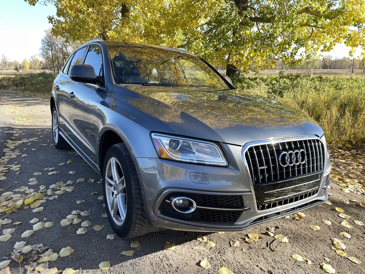Audi Q5 снимка Audi Q5