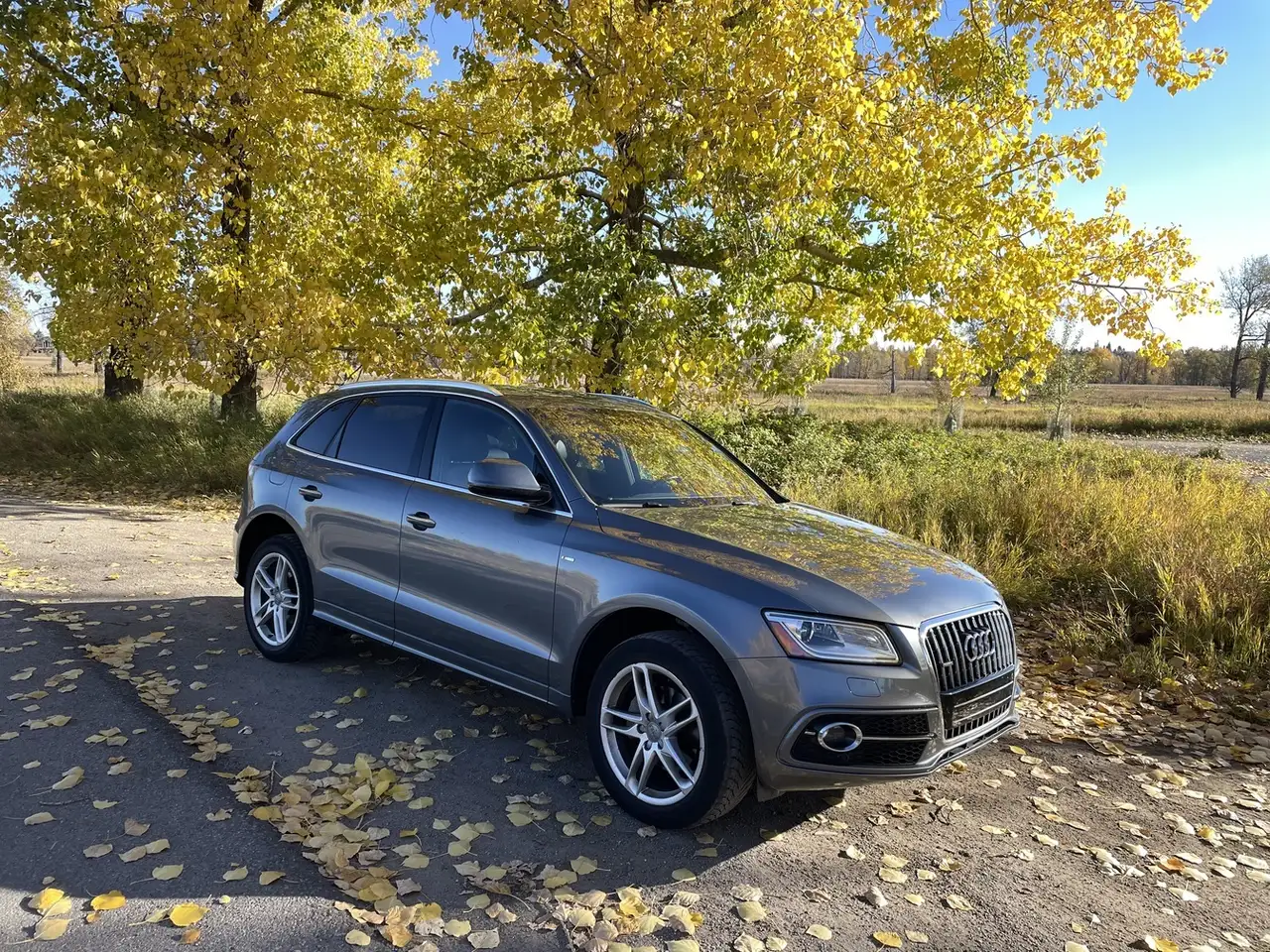 Audi Q5 снимка Audi Q5