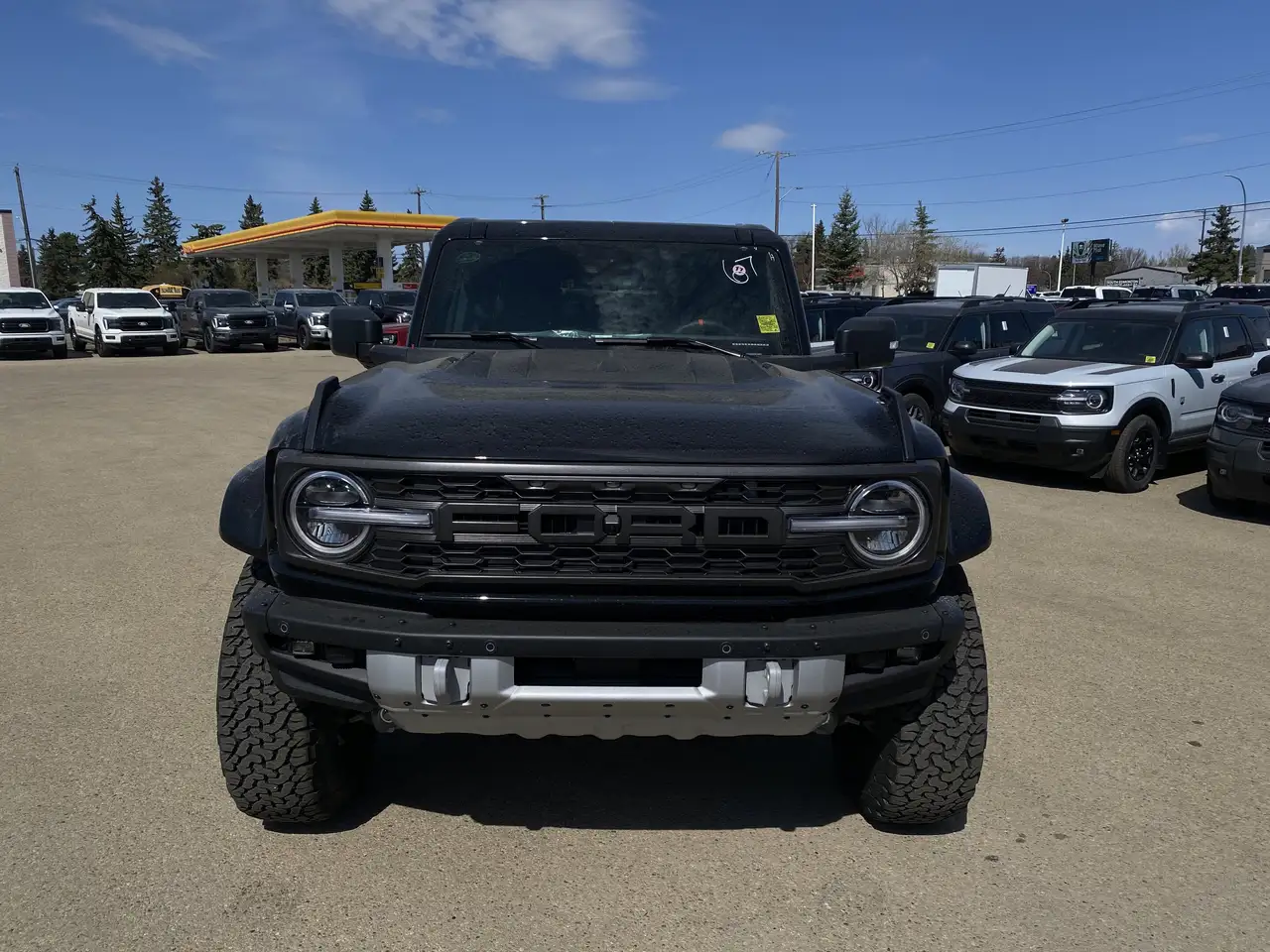 Ford Bronco fotografie Ford Bronco