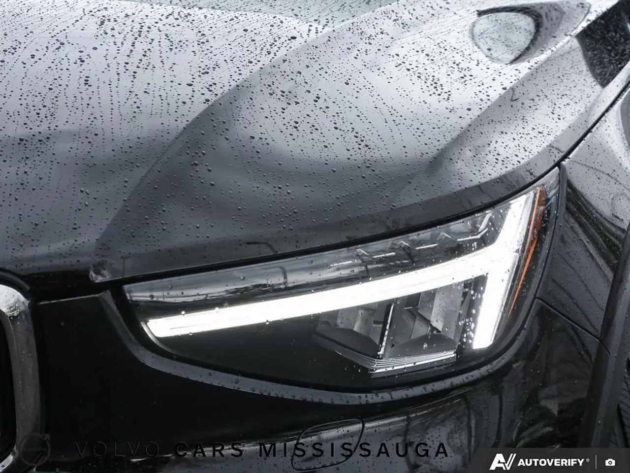 Volvo XC40 снимка Volvo XC40