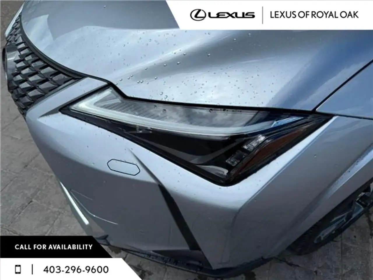 Lexus UX 300h снимка Lexus UX 300h