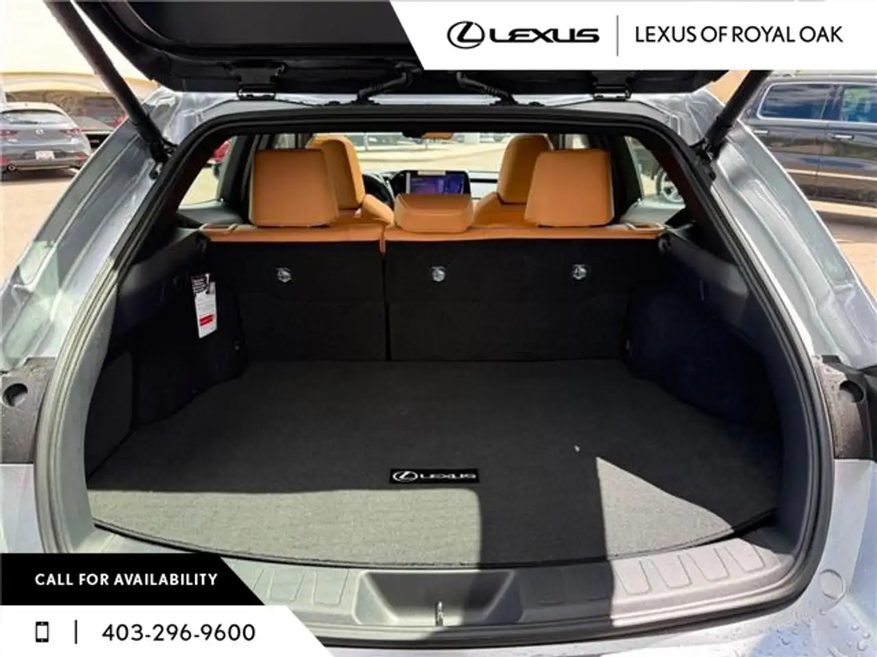 Lexus UX 300h снимка Lexus UX 300h
