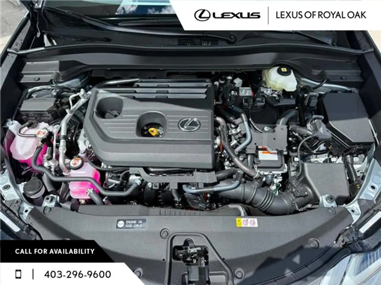 Lexus UX 300h снимка Lexus UX 300h