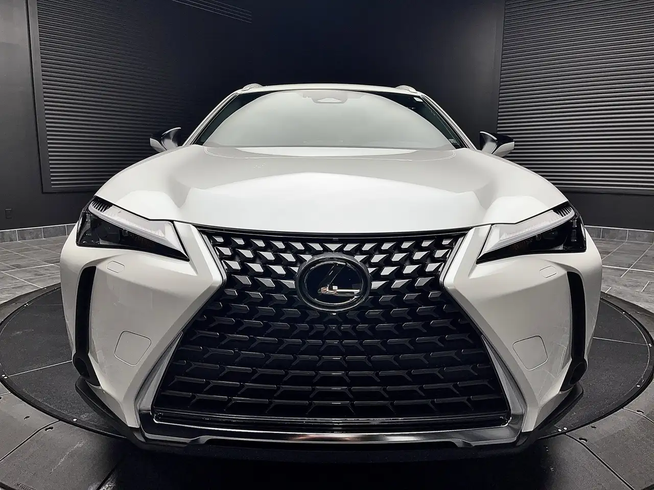 Lexus UX fotografie Lexus UX