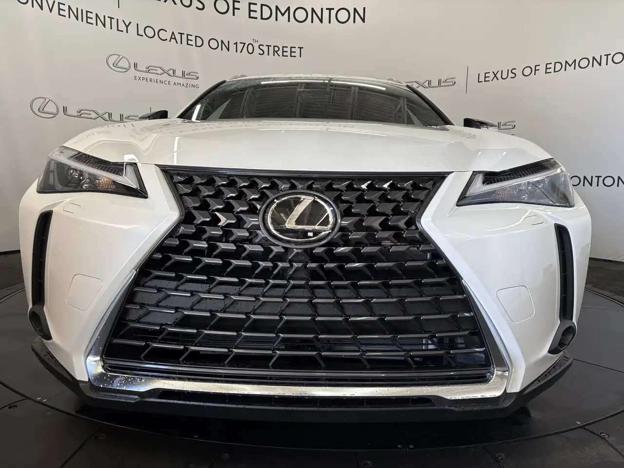 Lexus UX fotografie Lexus UX