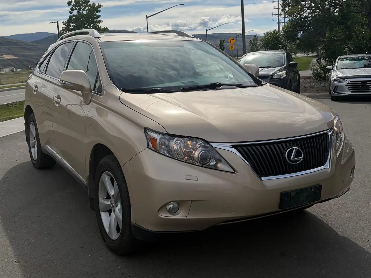 2010 Lexus RX
