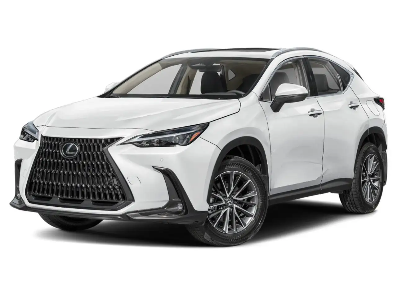 Lexus NX fotografie Lexus NX
