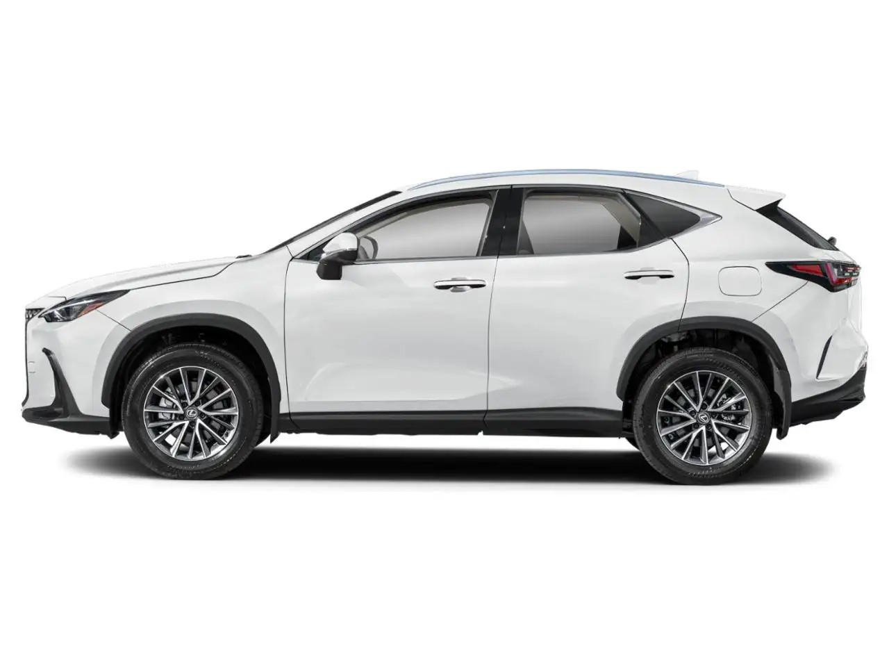 Lexus NX fotografie Lexus NX