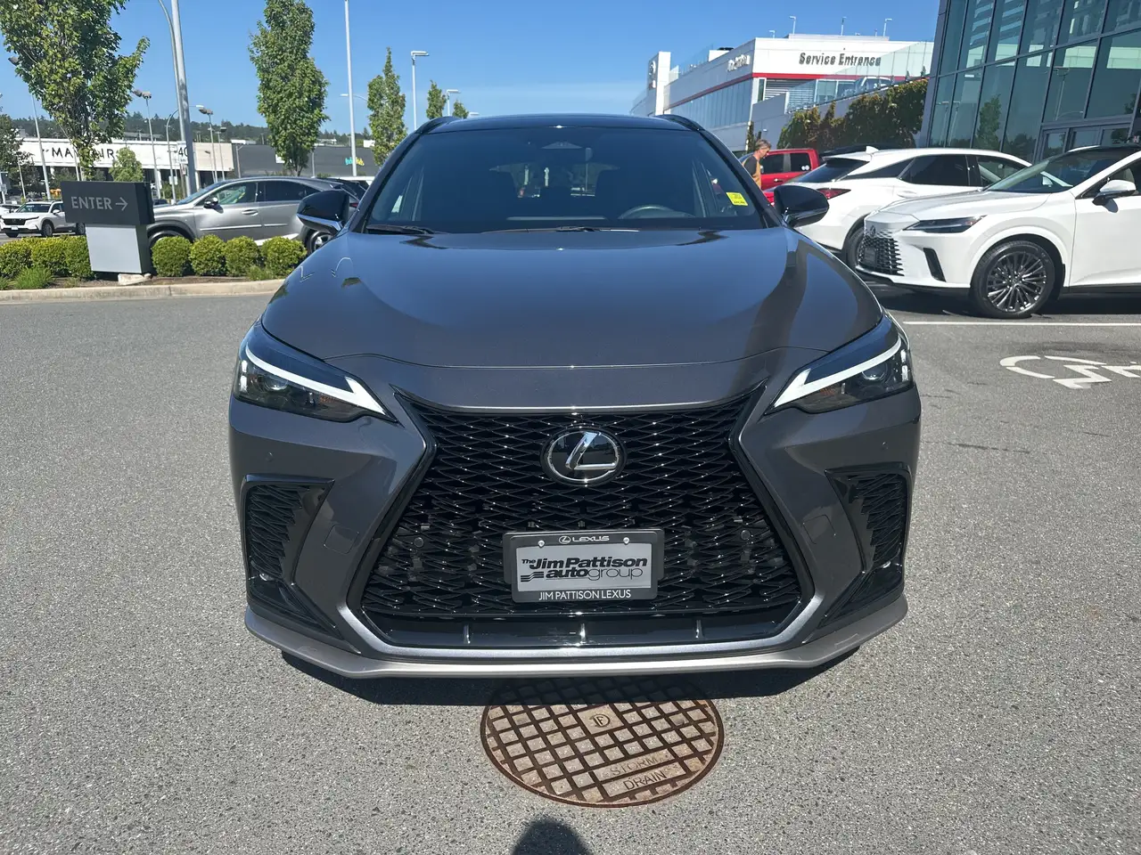 2024 Lexus NX