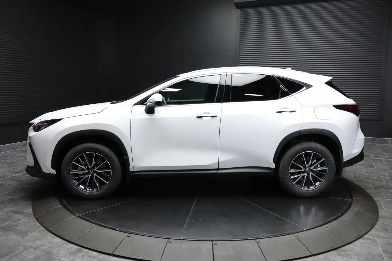 Lexus NX photo Lexus NX