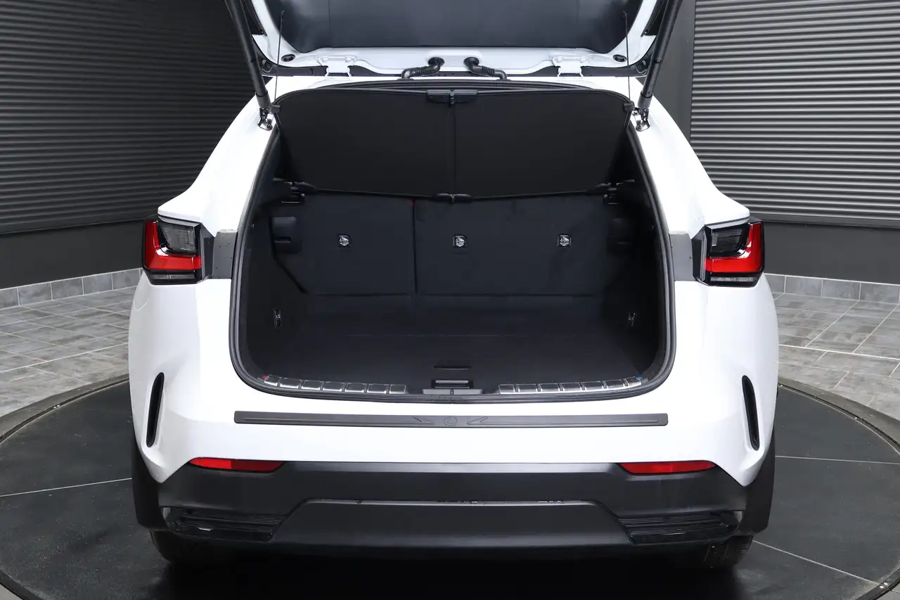 Lexus NX photo Lexus NX