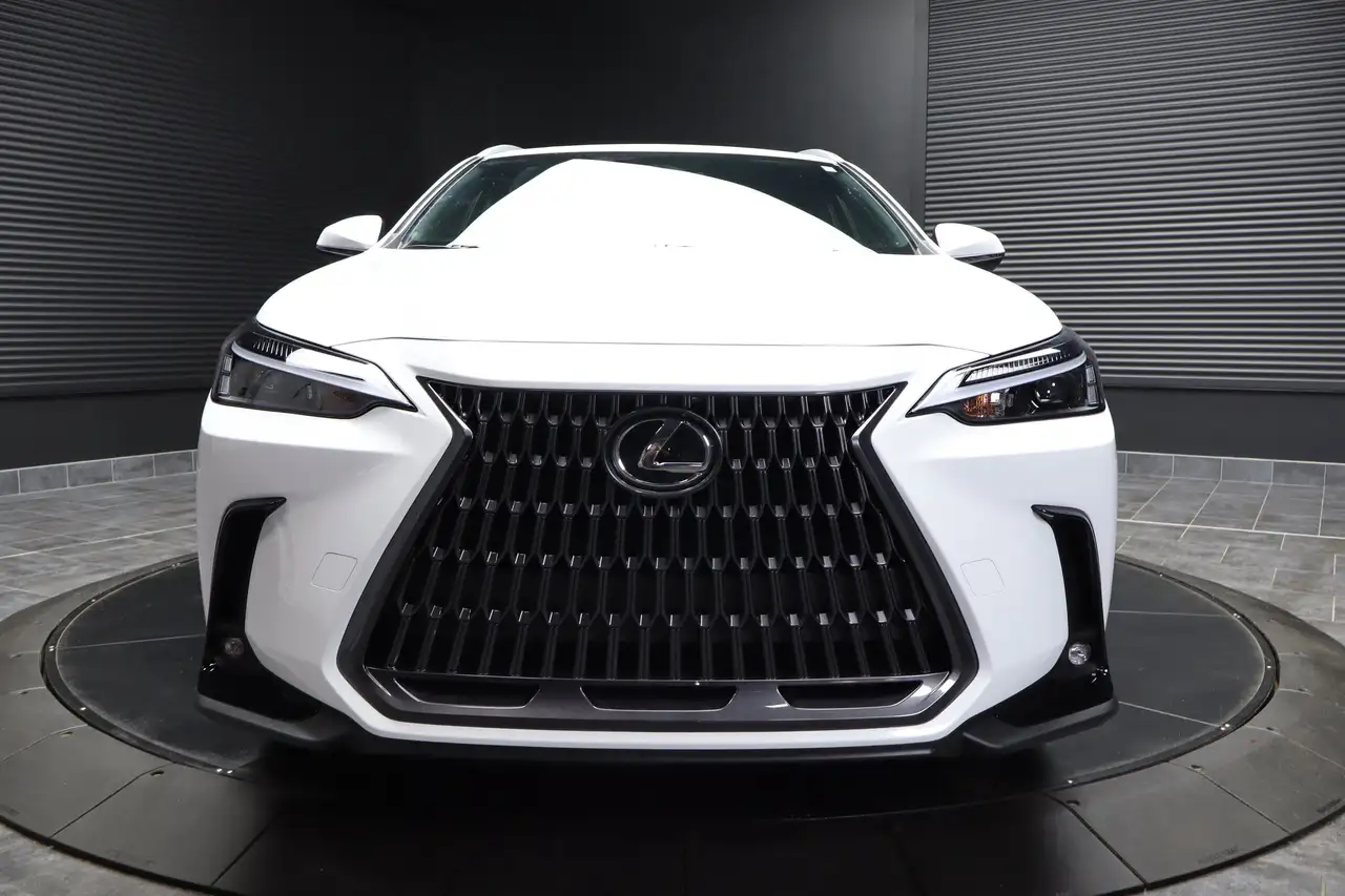 Lexus NX photo Lexus NX