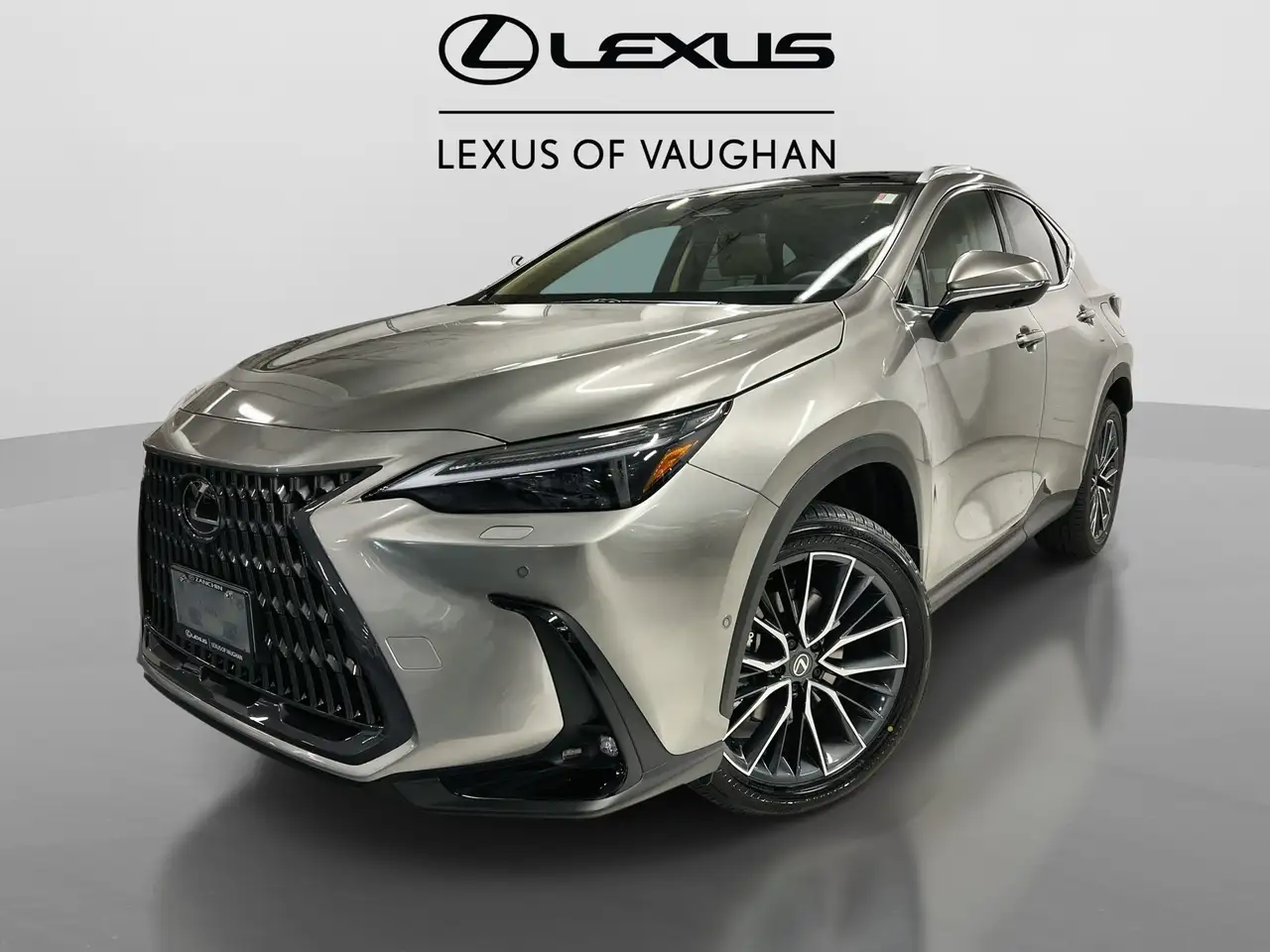 2026 Lexus NX