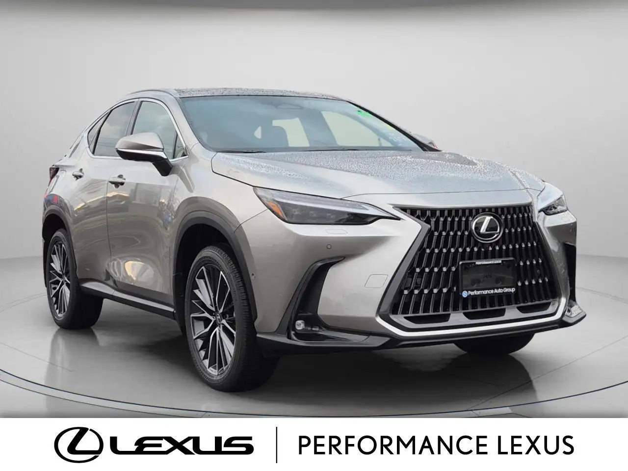 Lexus NX снимка Lexus NX