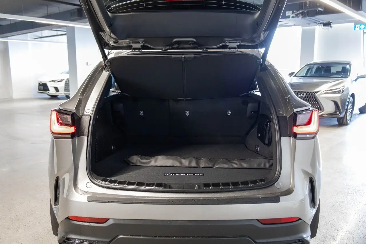 Lexus NX снимка Lexus NX