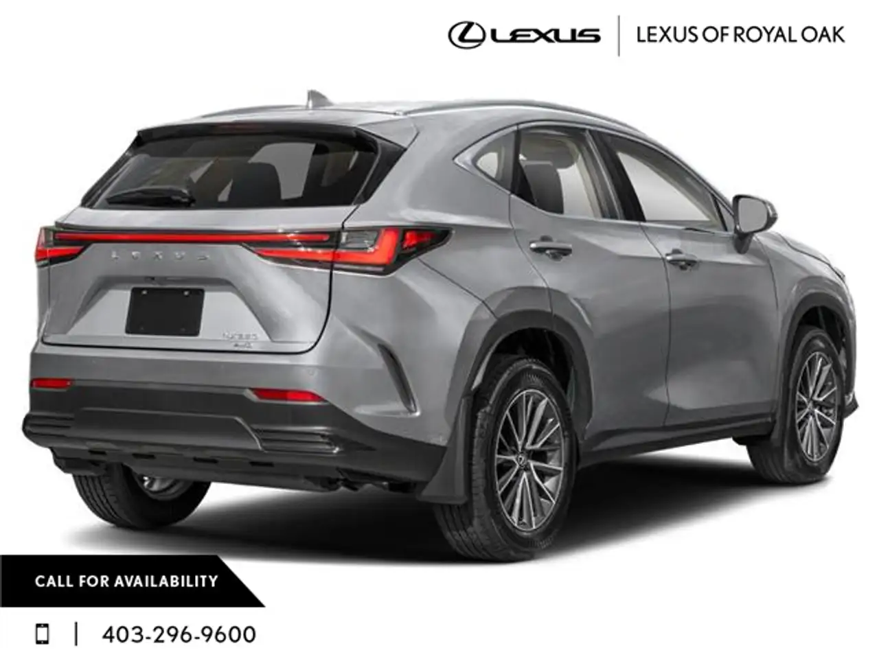 Lexus NX fotografie Lexus NX