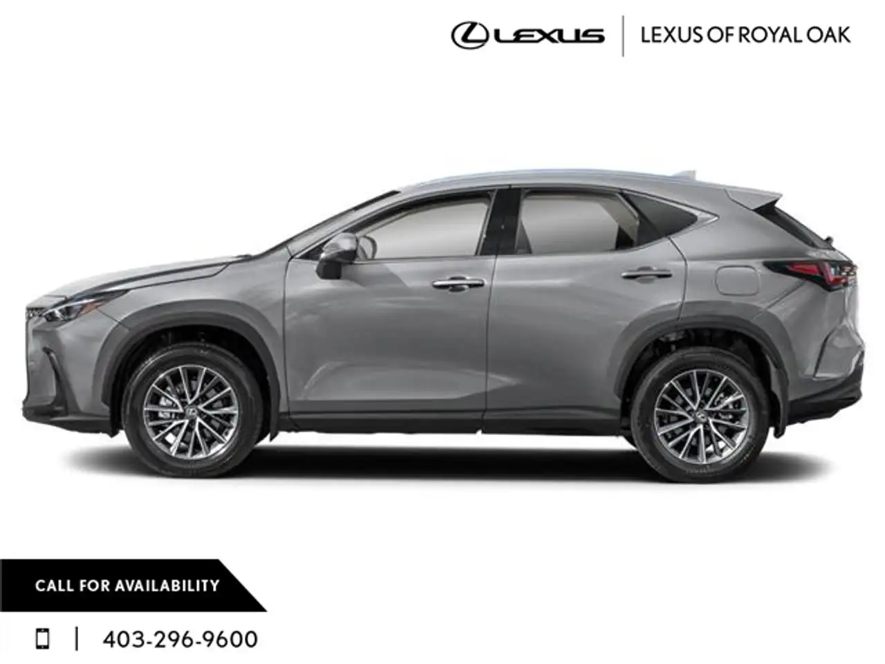 Lexus NX fotografie Lexus NX