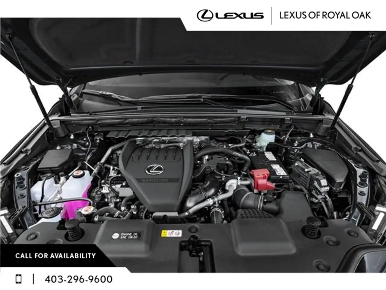 Lexus NX fotografie Lexus NX