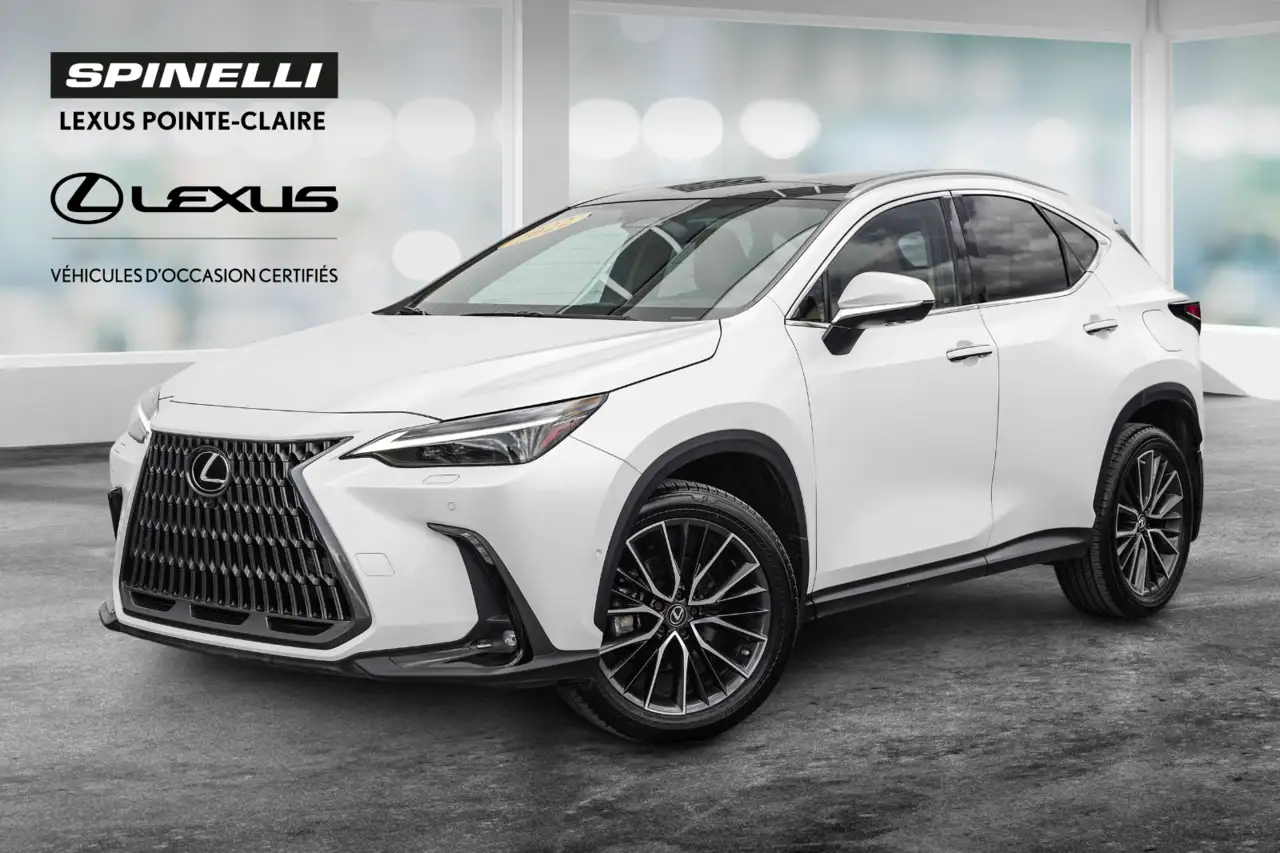 2022 Lexus NX
