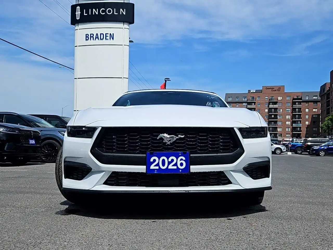 Ford Mustang fotografie Ford Mustang