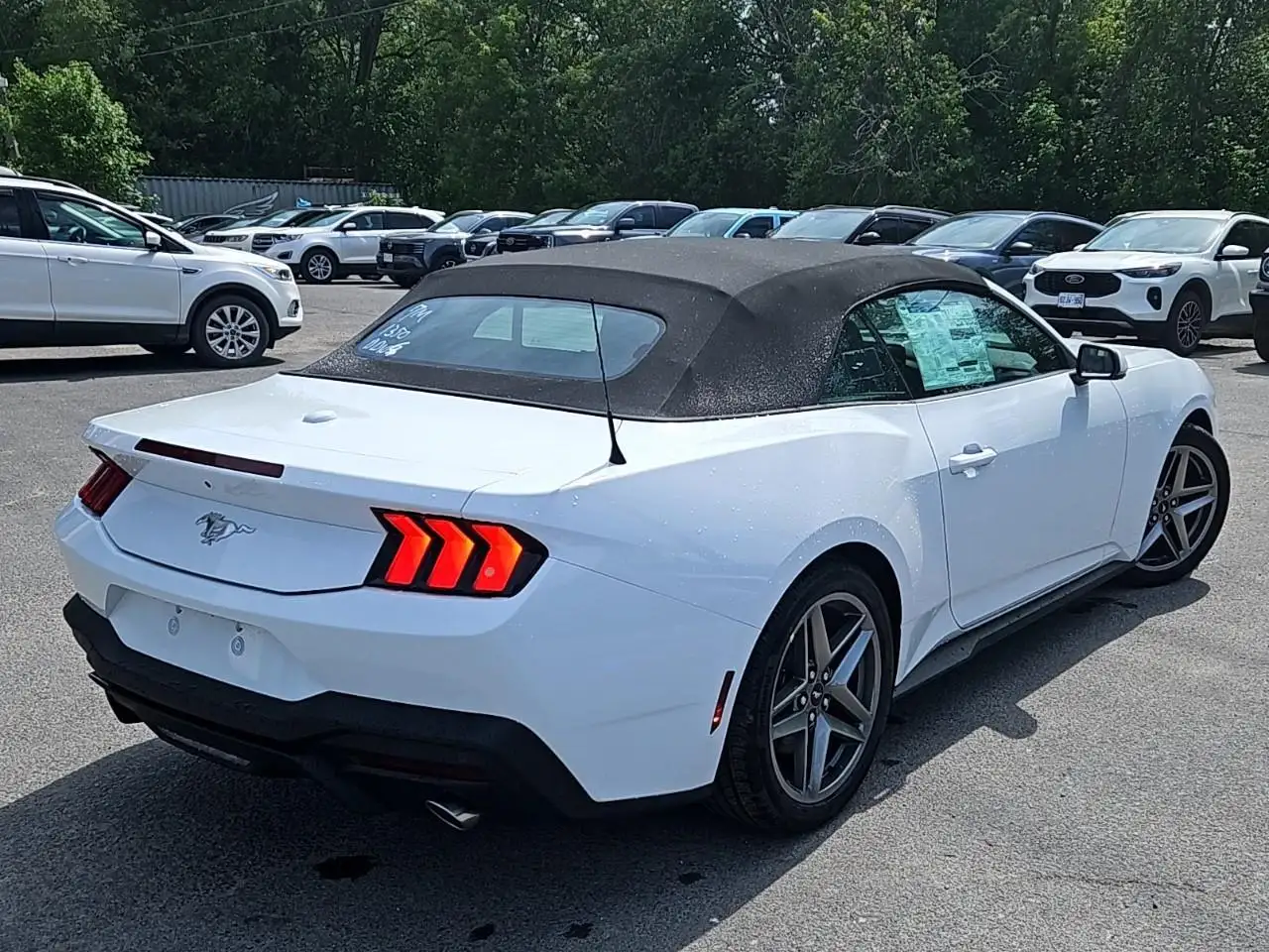 Ford Mustang fotografie Ford Mustang