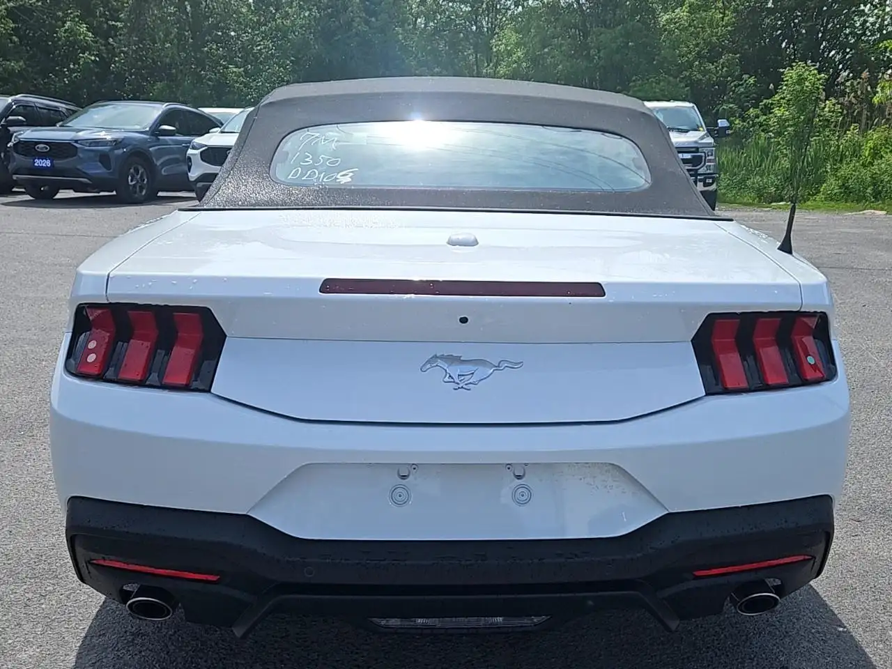 Ford Mustang fotografie Ford Mustang