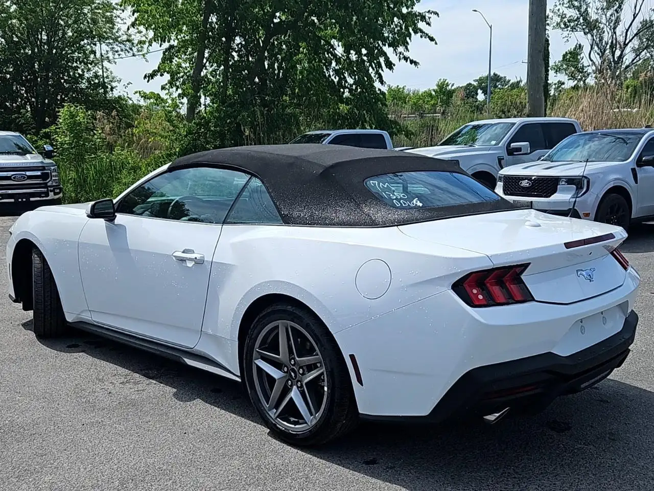 Ford Mustang fotografie Ford Mustang