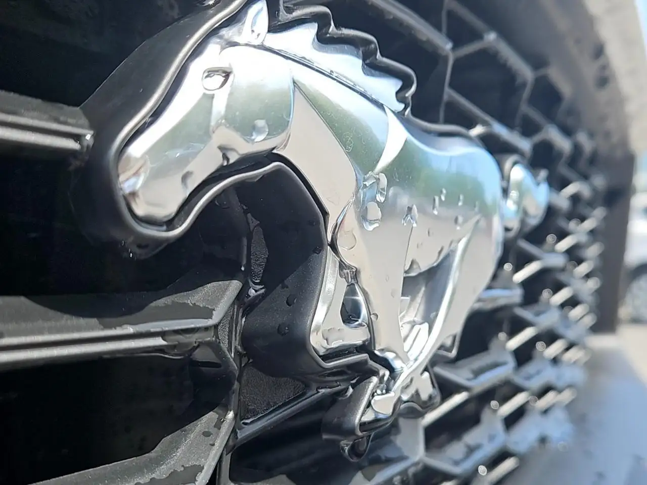 Ford Mustang fotografie Ford Mustang
