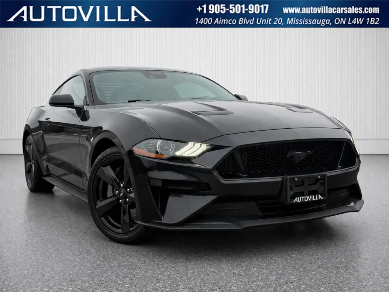 Ford Mustang fotografie Ford Mustang