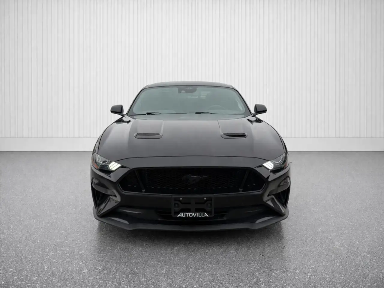 Ford Mustang fotografie Ford Mustang